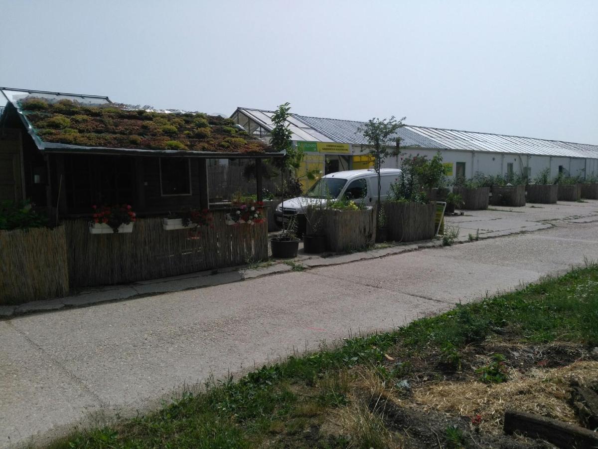 Penzión pre hostí Rastlinky.sk Greenhouse Guestrooms Bratislava