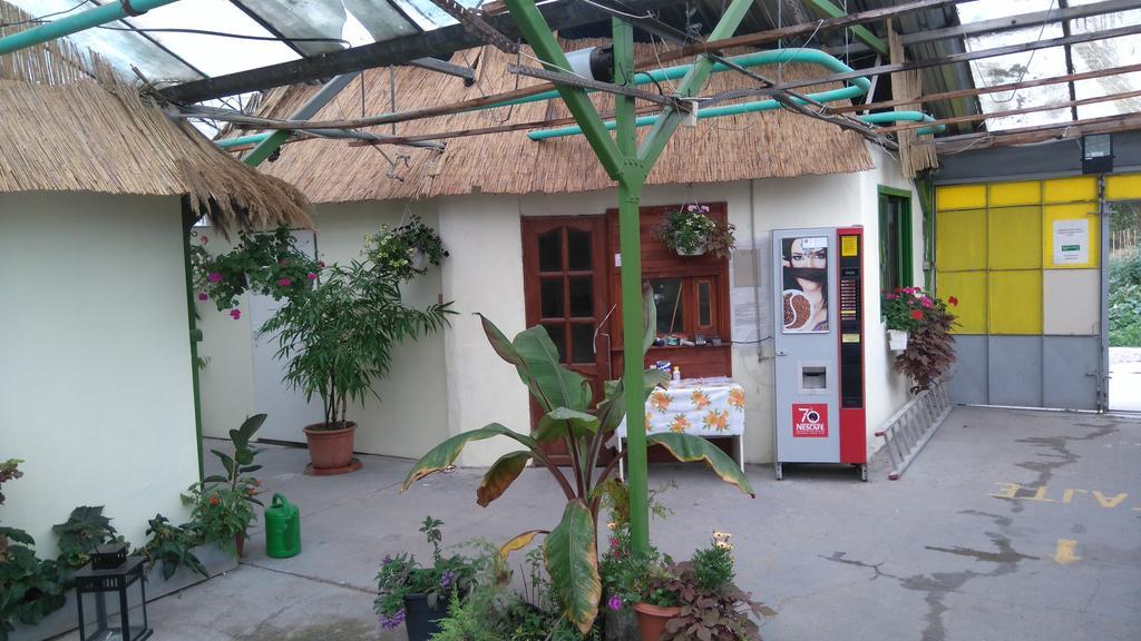 Rastlinky.sk Greenhouse Guestrooms *