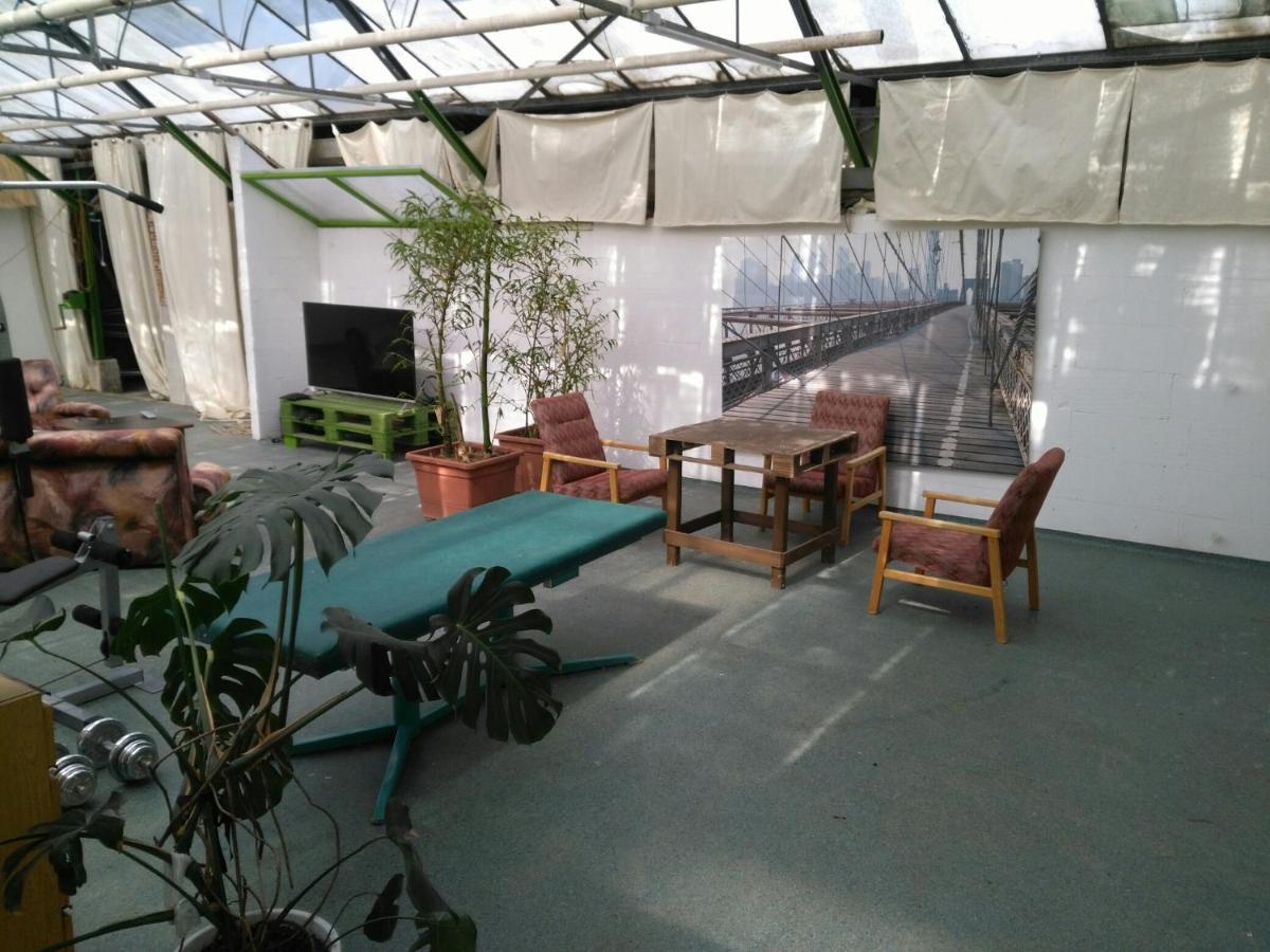 Rastlinky.sk Greenhouse Guestrooms Penzión pre hostí *